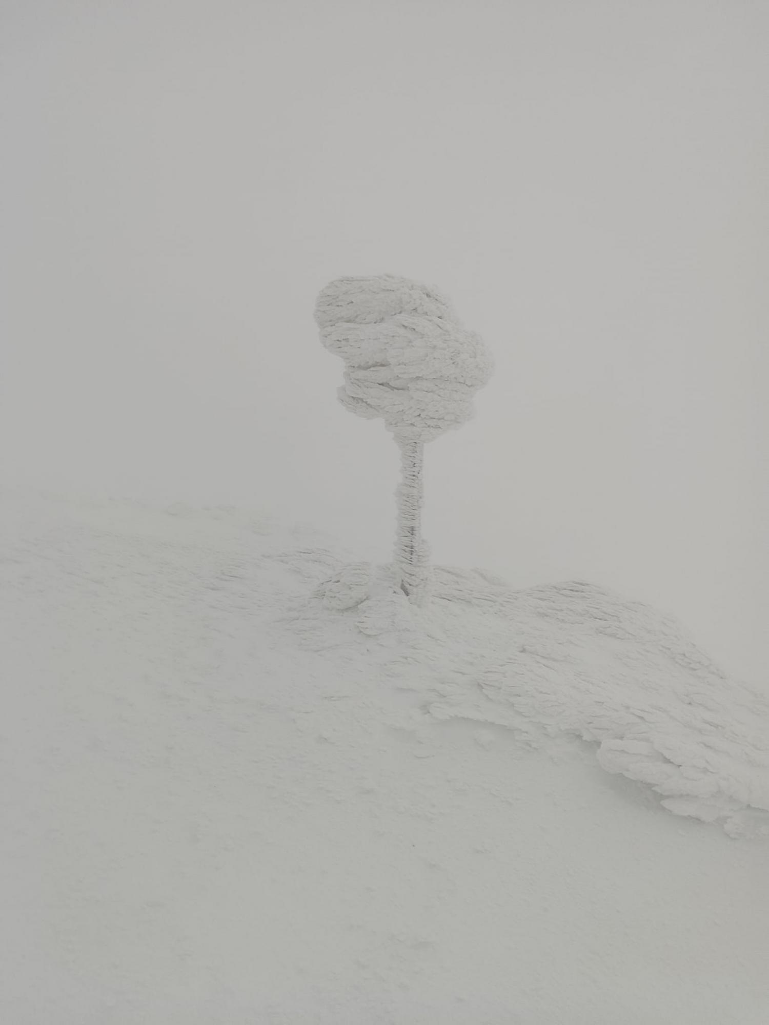 У Карпатах падає сніг та мороз до -9 (фото)